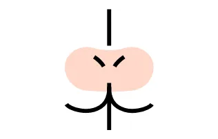 腰の痛み