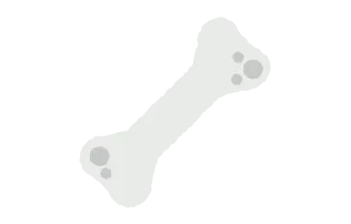 骨粗しょう症
